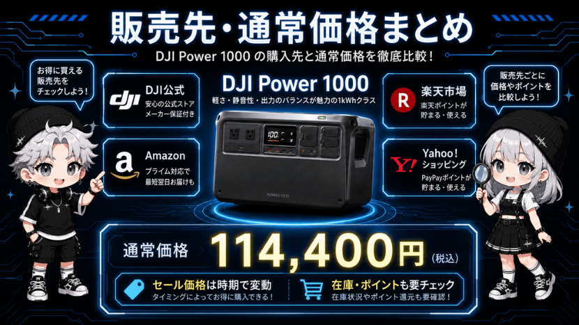 DJI Power 1000｜販売先・通常価格まとめ